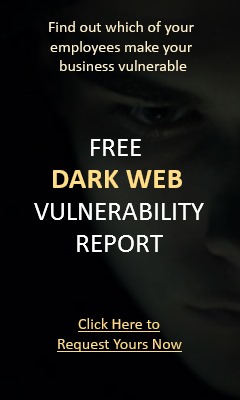 Vulnerability Report